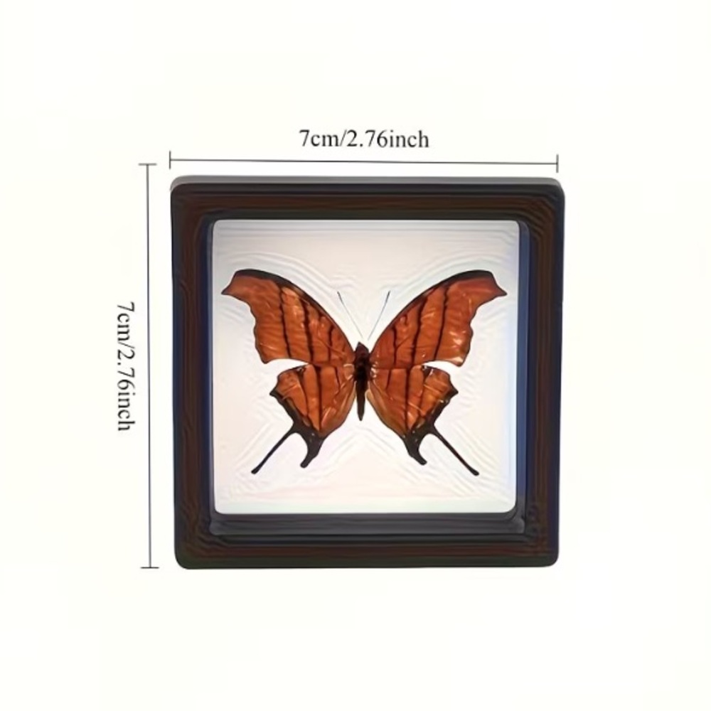 **Buy Now** Floating Display Frame Set of 2 - Picture 2 of 3